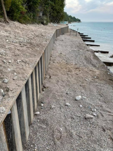 Untitled 2000 × 1500 px 1500 × 2000 px 1