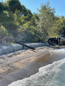 Untitled 2000 × 1500 px 1500 × 2000 px