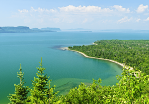 KB Shoring Forest Near Shoreline In Ontario Ontario Shoreline Erosion Blog