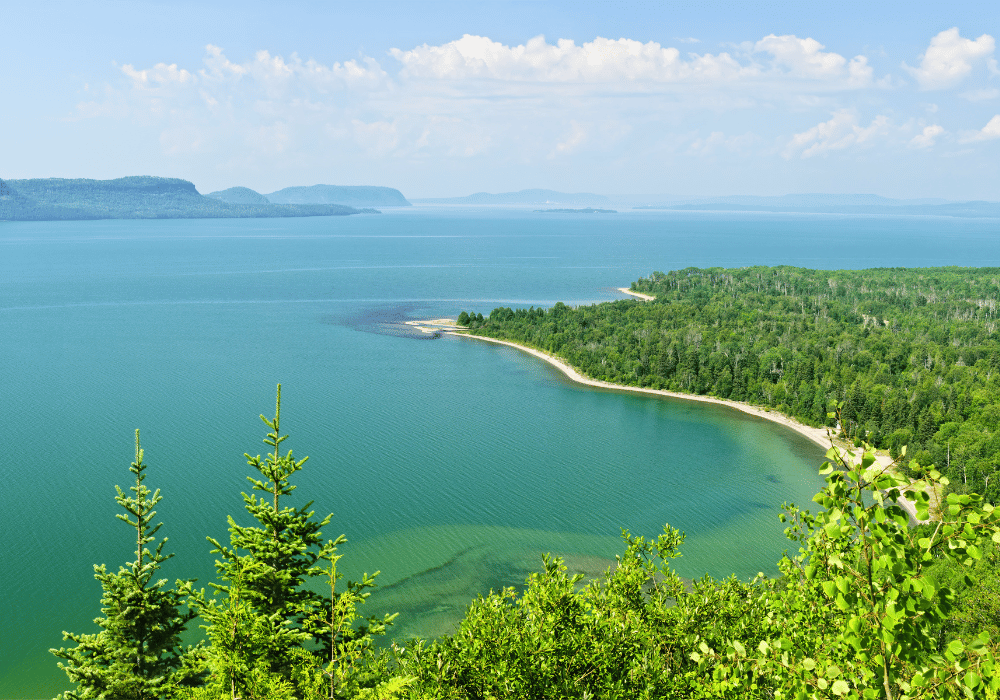KB Shoring Forest Near Shoreline In Ontario Ontario Shoreline Erosion Blog